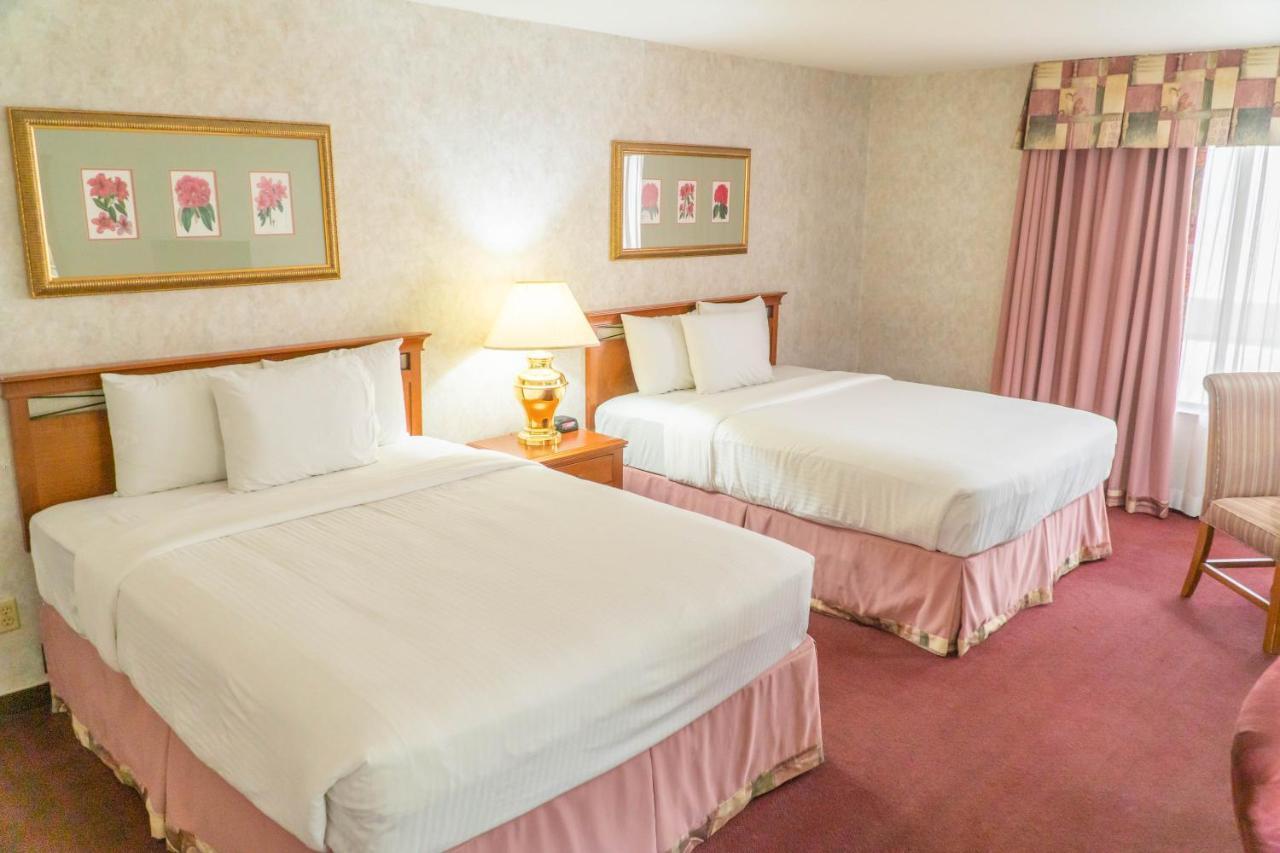Piccadilly Hotel 3*